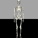 SkeletonCompleteNoNormals