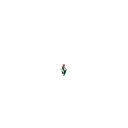 TulipCluster1
