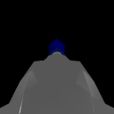 HarrierFlying