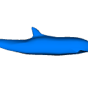 DolphinMorpher