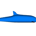 DolphinPose01