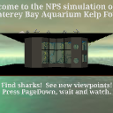 ProximitySensorKelpForestMain