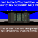 KelpForestMain