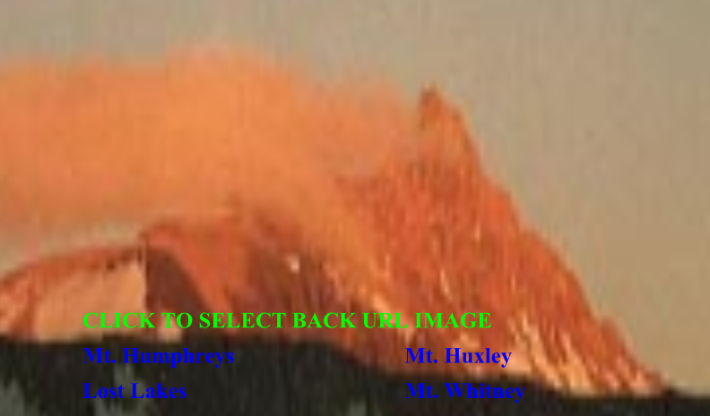 [1] set_backurl.x3d Back View