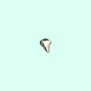 l_cuneiform_1