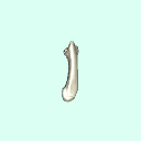 l_metacarpal_3