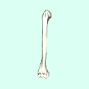 r_upperarm