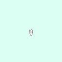 tooth_molar_17_38