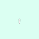 tooth_premolar_21_34