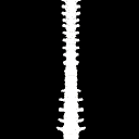 BonesSpine