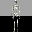 SkeletonCompleteNormals